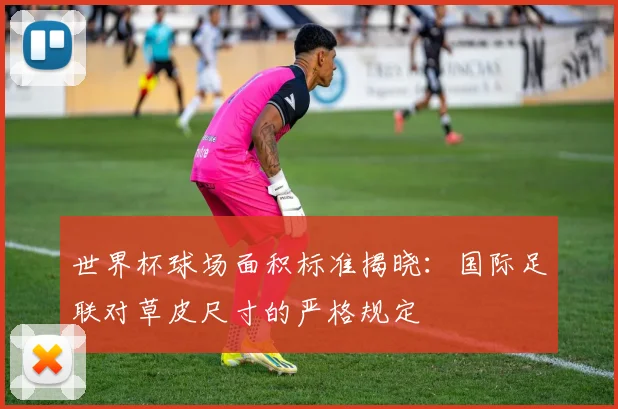世界杯球场面积标准揭晓：国际足联对草皮尺寸的严格规定