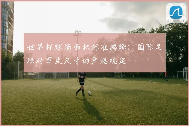 世界杯球场面积标准揭晓：国际足联对草皮尺寸的严格规定